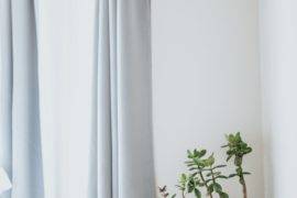 10 Plants for the Bedroom That Can Help You Sleep Better