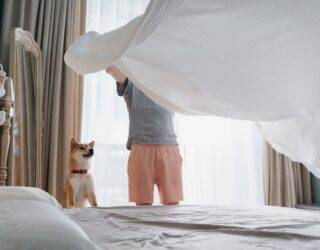 Young man and his funny dog are putting the bedding cover or mattress pad on the bed. Regular bed linen change