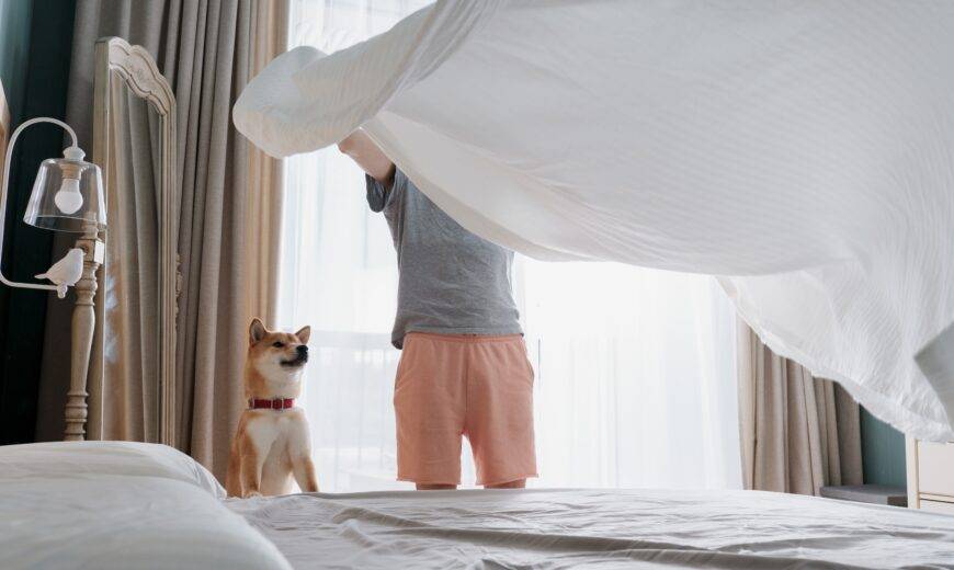Young man and his funny dog are putting the bedding cover or mattress pad on the bed. Regular bed linen change