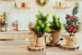 6 Perfect Plants To Upgrade Your Seasonal Decor